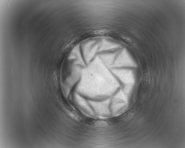 X0000060740572200512011423