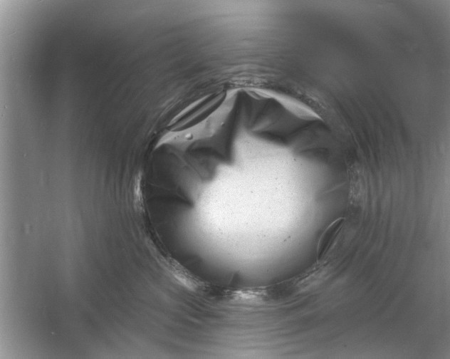 X0000060740573200512011423