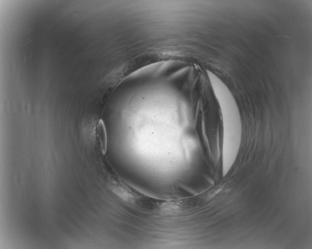 X0000060740574200512011423