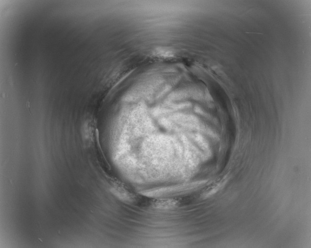 X0000060740576200512011423