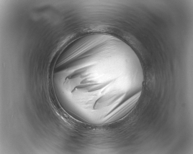 X0000060740578200512011422