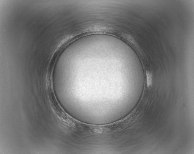 X0000060740579200512011422