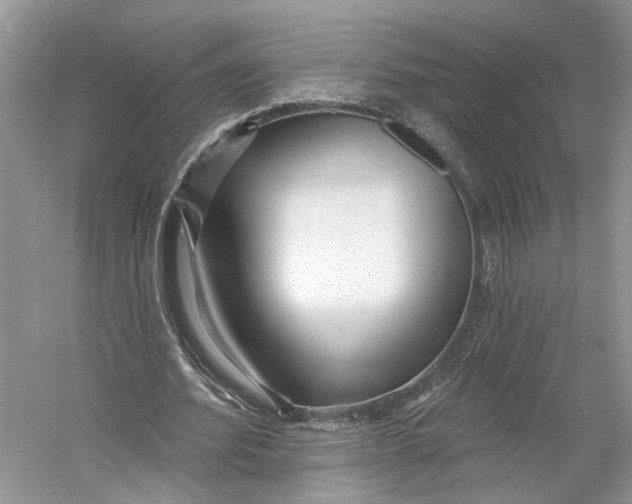 X0000060740580200512011422