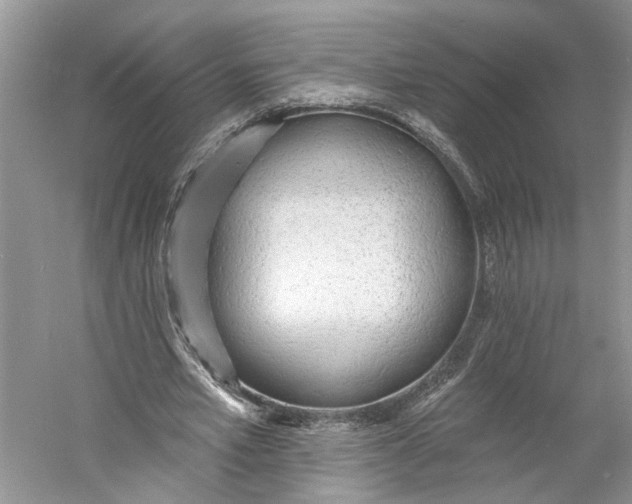 X0000060740581200512011422