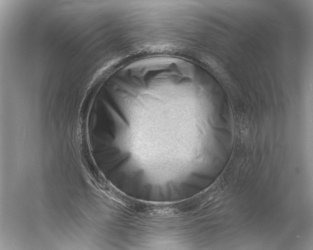 X0000060740583200512011422