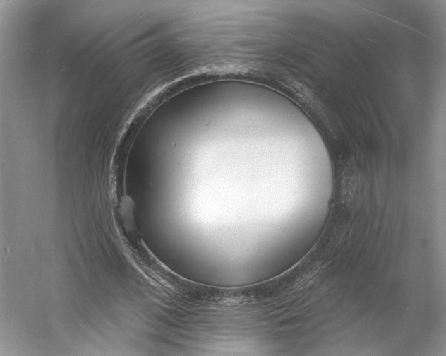 X0000060740584200512011422