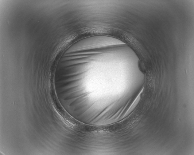 X0000060740586200512011422