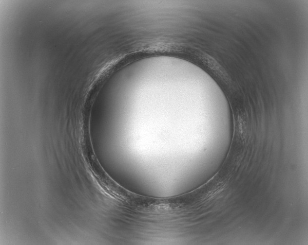 X0000060740588200512011422