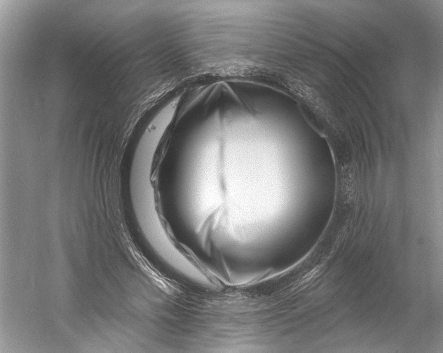 X0000060740589200512011422