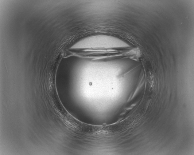 X0000060740593200512011422