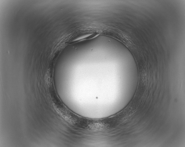 X0000060740594200512011422