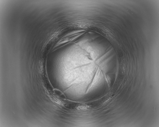 X0000060740595200512011422