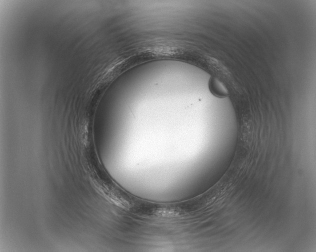 X0000060740596200512011422