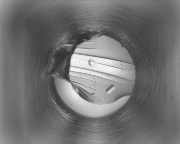 X0000060740598200512011422