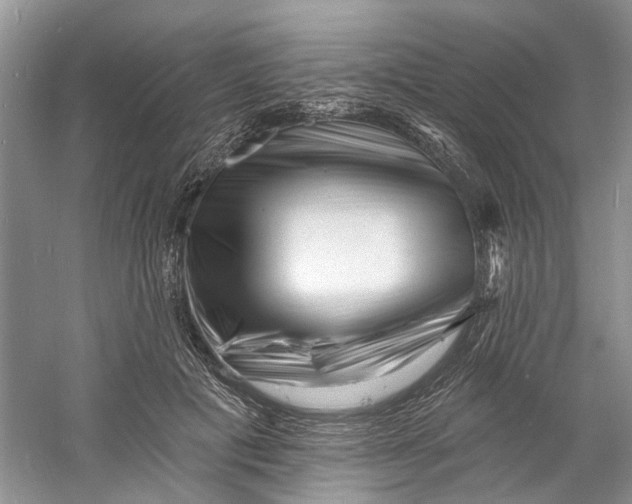 X0000060740601200512011422