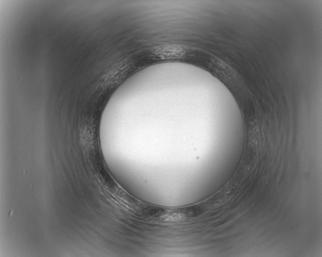 X0000060740604200512011422