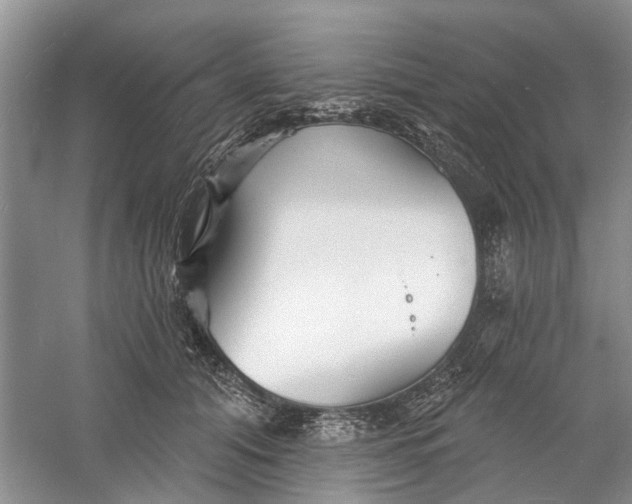 X0000060740608200512011422