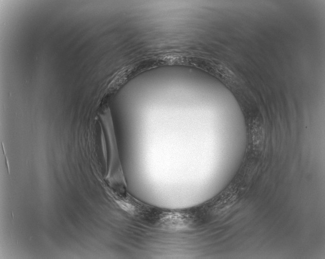 X0000060740611200512011422