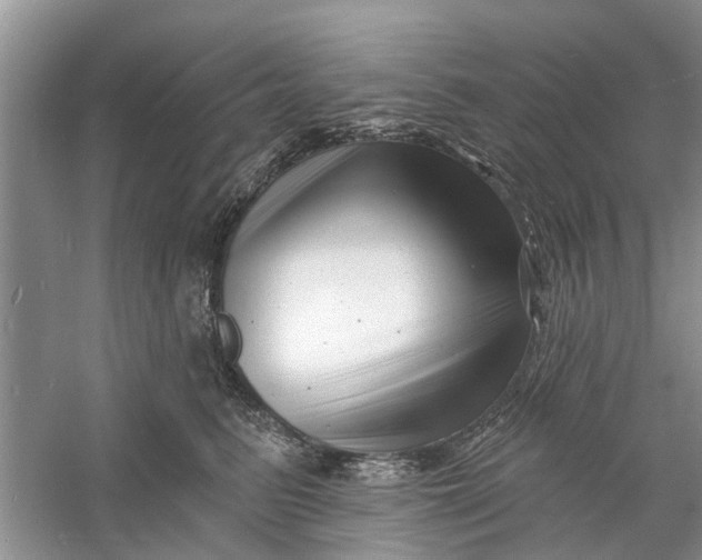 X0000060740615200512011422