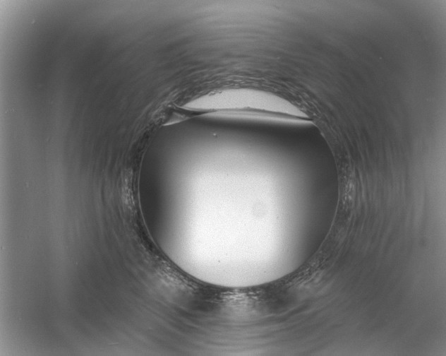 X0000060740616200512011421