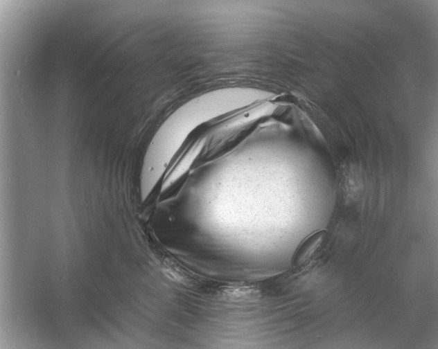 X0000060740619200512011421