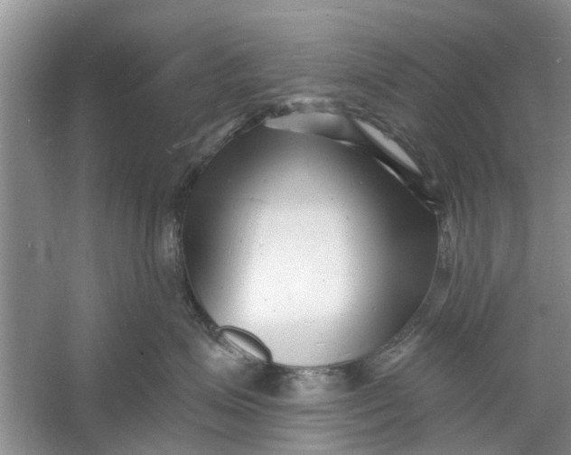 X0000060740623200512011421