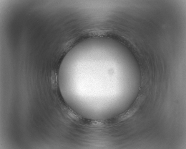 X0000060740624200512011421