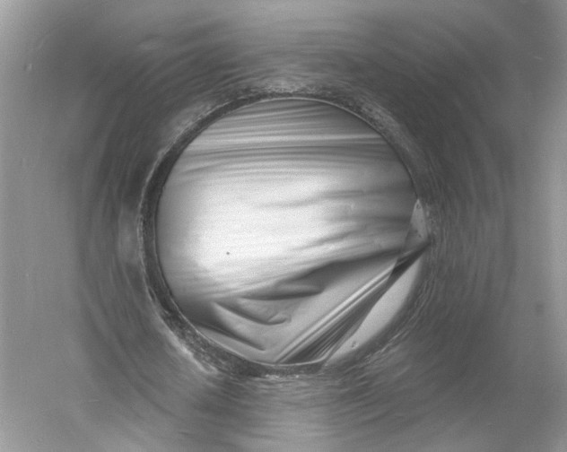 X0000060740626200512011421