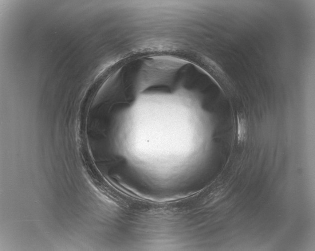 X0000060740627200512011421