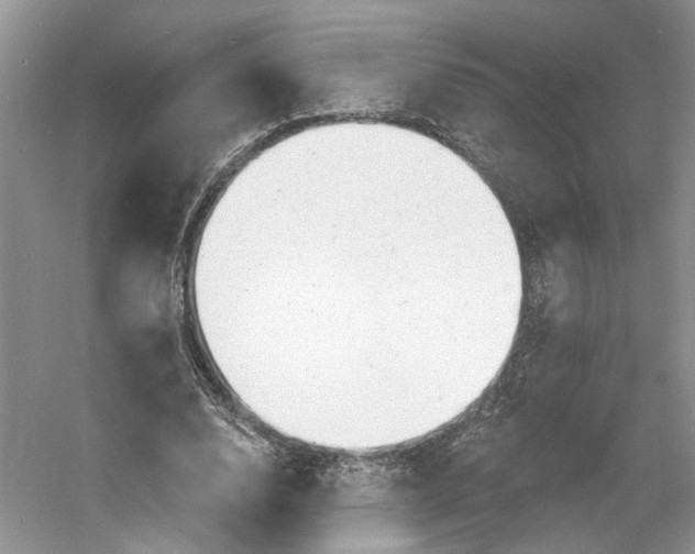 X0000060740632200512011421