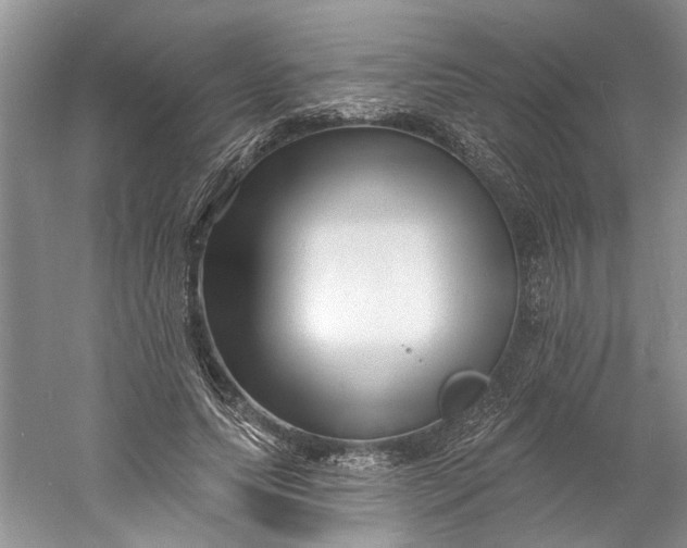 X0000060740639200512011421