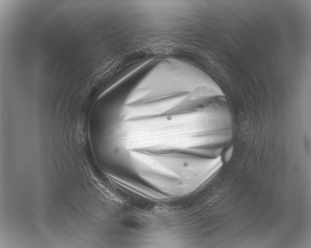 X0000060740641200512011421