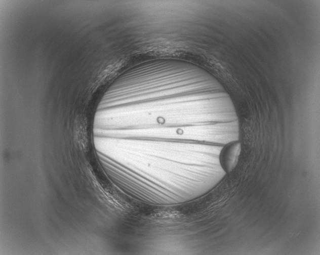 X0000060740642200512011421