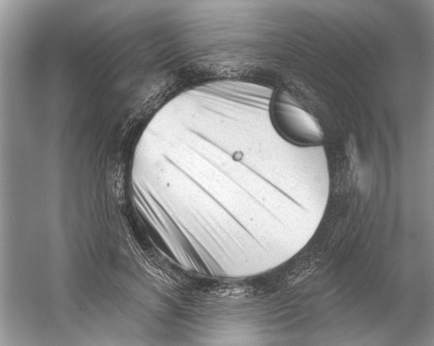 X0000060740646200512011421