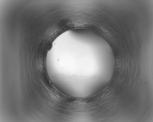 X0000060740648200512011421