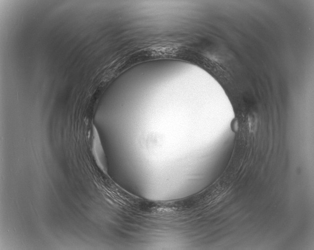 X0000060740649200512011421