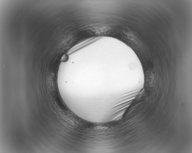 X0000060740650200512011421