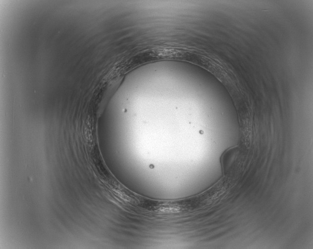 X0000060740653200512011421