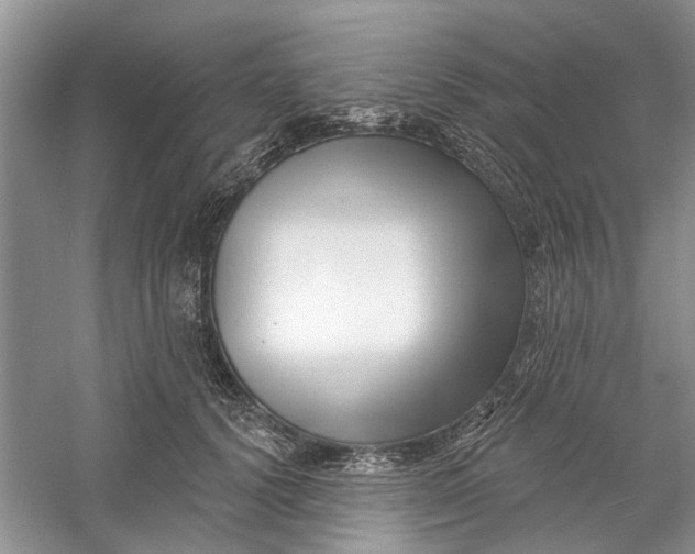 X0000060740656200512011421