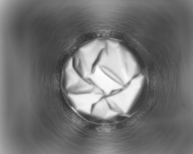 X0000060740661200512011421