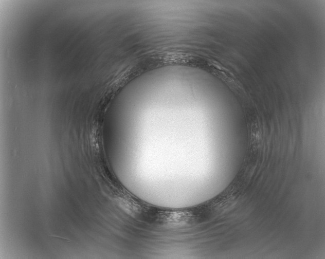 X0000060740663200512011421