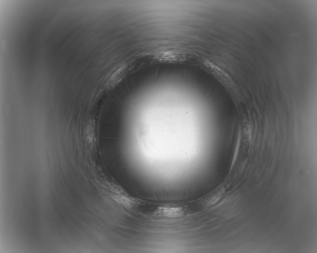 X0000060740665200512011421