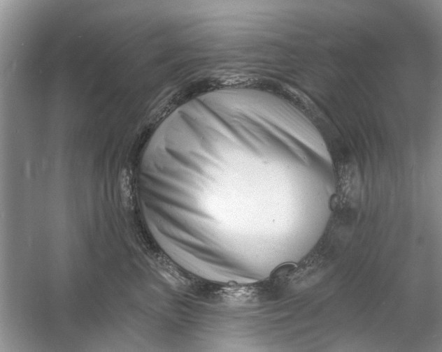 X0000060740667200512011421