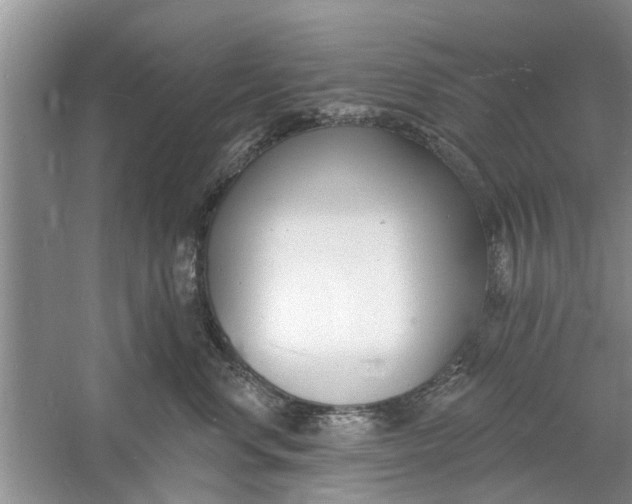 X0000060740668200512011421