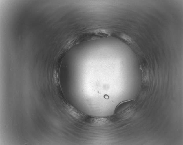 X0000060740669200512011421