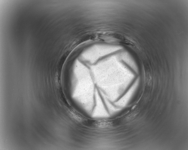 X0000060740670200512011421