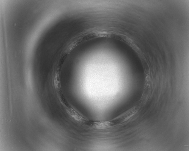 X0000060740671200512011421