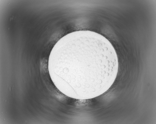 X0000060740672200512011421