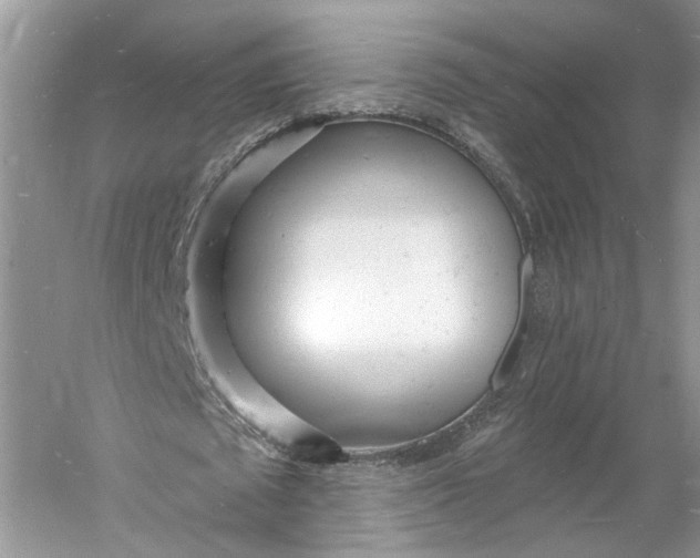 X0000060740673200512011421