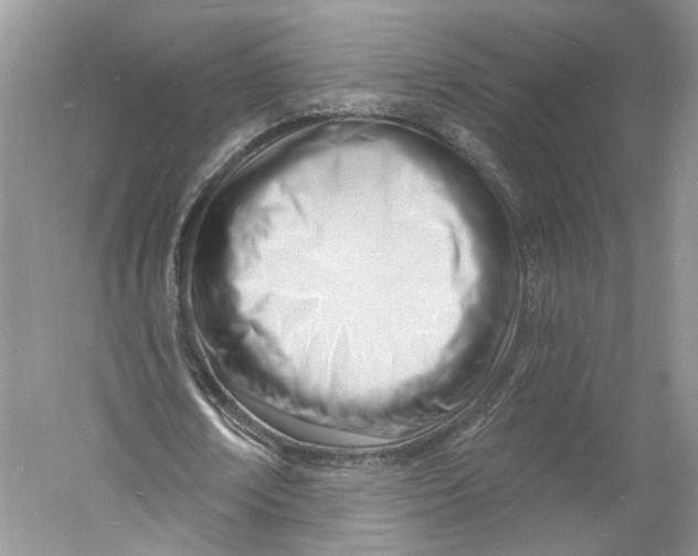 X0000060740674200512011420